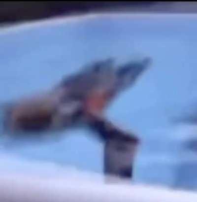 I like your cut G ℹ️🇮🇷🔋ℹ️🇮🇷🈲🔋😑📄😑🌾😔🌾🔥ℹ️🐸ℹ️🤴😳㊙️🤯