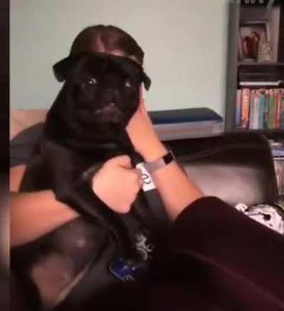 pOoR DOg scREaMInG fOr hElP aS itS BeING helD HOStAGe