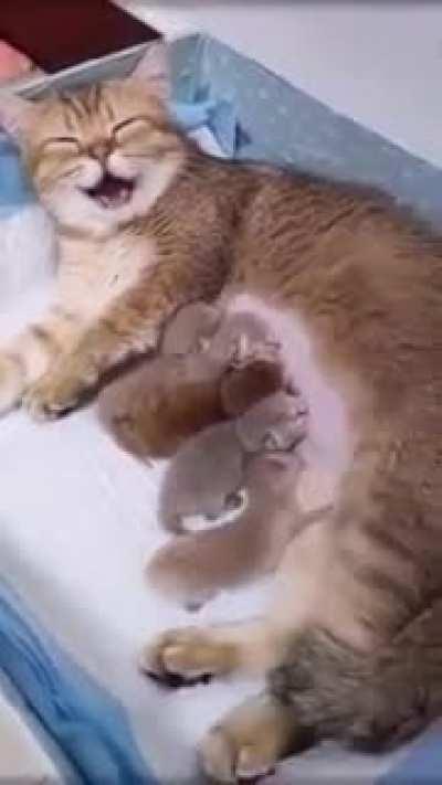 Can't get over to this😂😍