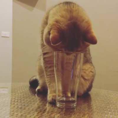 How do I use this thing? [x-post /r/aww !