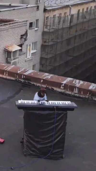 Dachshund plays What is Love