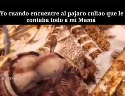 Pájaro culiao