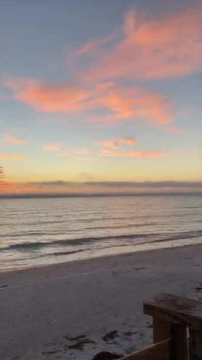 Swimming at dusk is amazing!