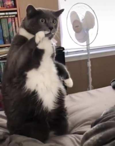 1st day in Zumba class