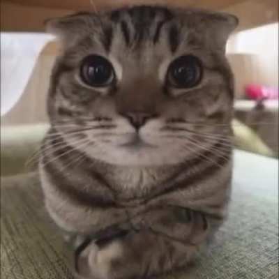 First guh go easy on me guhs