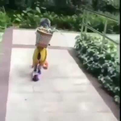 Lo subo porke me hace cagar risa noma