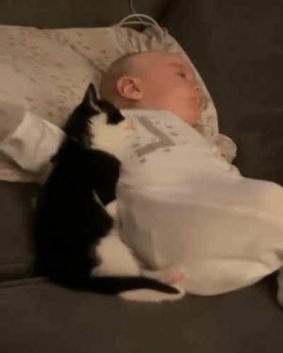 Two sleeping babies.