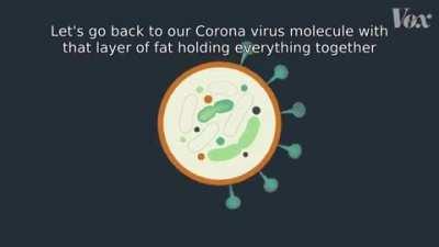 How Soap Kills Coronavirus (or every other virus and bacteria)