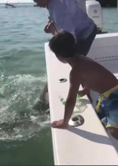 WCGW trying to grab a shark