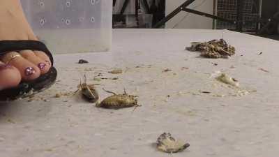 Nicole (Innocent Cruelty) - enjoy and post something from Innocent Cruelty too, they are great!