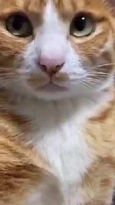 What happened to your voice cutie