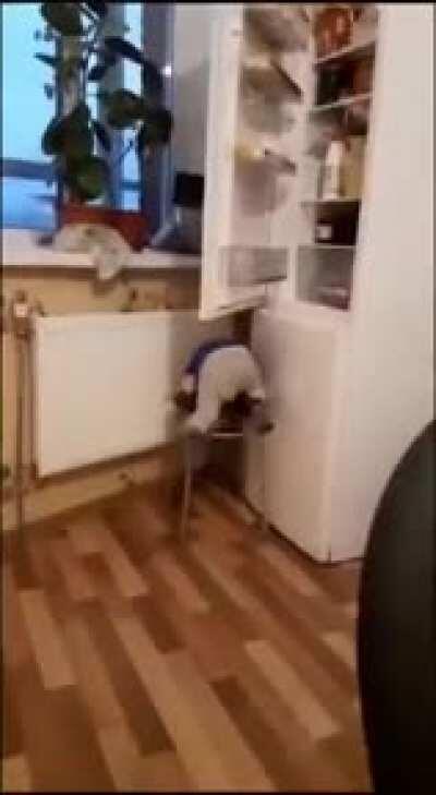 He's trying his best...