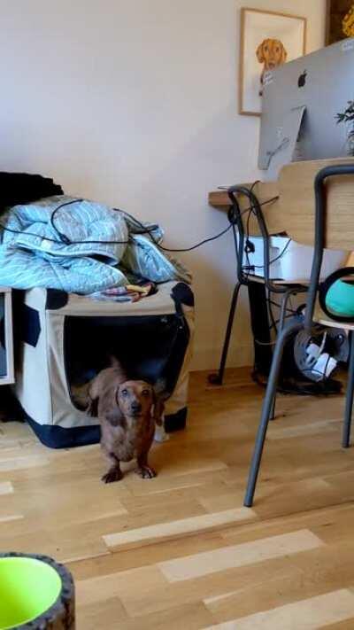 Lahti reversing all the way in anticipation of her ball being thrown