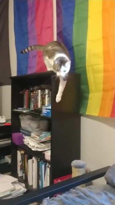 Trajectory Processing