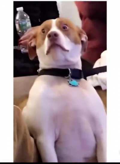 If you people would kindly leave my house please 😬