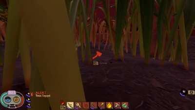 Edited my friend's clip when he lagged in my game after I shot a Wolf Spider