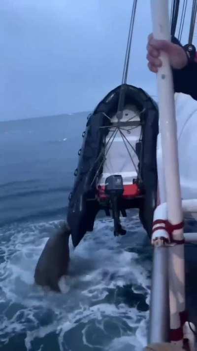 That looked expensive!