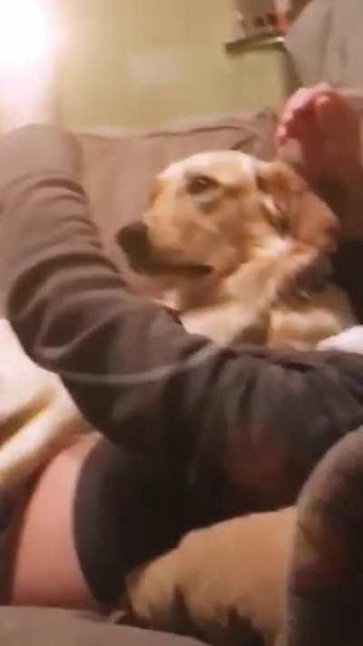 DaD LAUNchEs MISSiLe On dOG