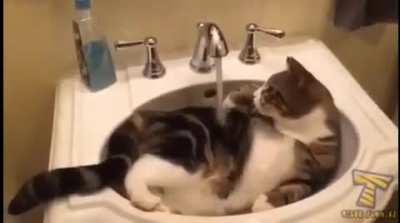 Touch Tha Tap