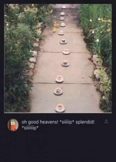 How to trap a British person 101