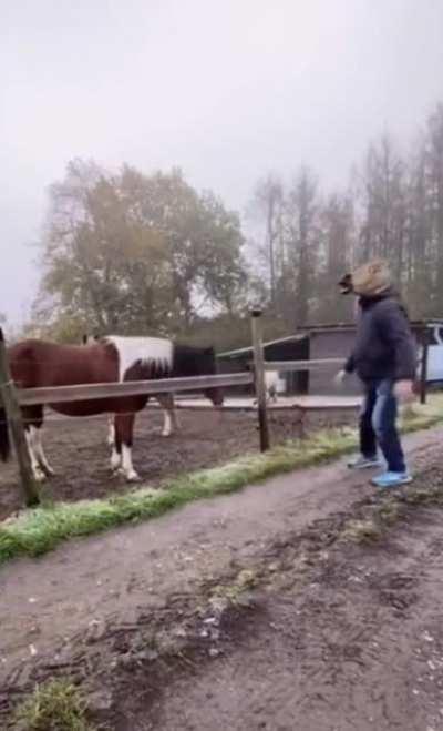 That look on the horse's face is priceless haha
