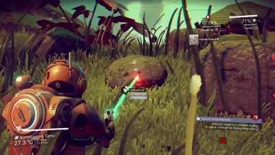 I found a planet where the rocks sometimes come alive and run away....