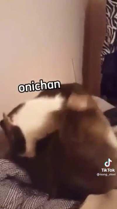 oni-chann hahahahaha