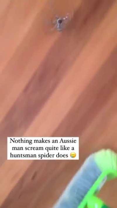 I would just burn the house down