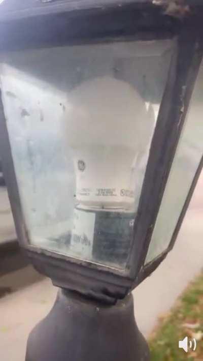 Found in the depths of the internet