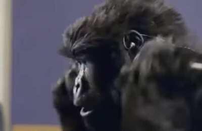 Waiting For The Margin Call....🚀🚀🚀