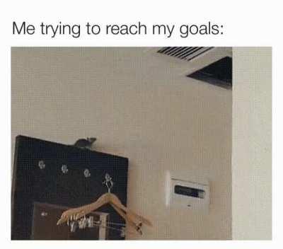 My rat people need me