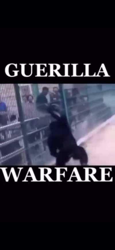 the time has come my brothers to revolt against the h*mans