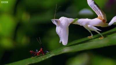 Or maybe not(turn audio on)