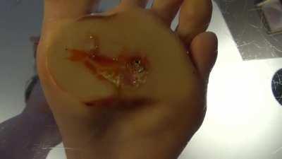 Anyone want to trade?