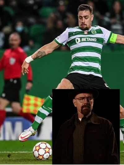 shor Branco e Verde!