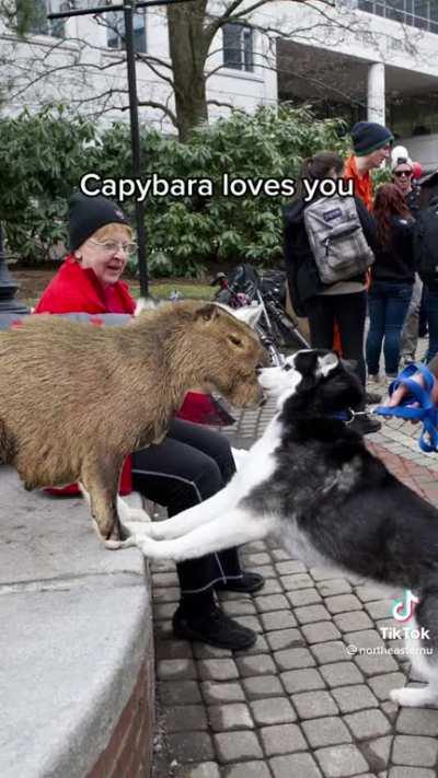 Someone give NEU’s tiktok intern a raise because what on earth?? 😭