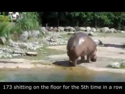 Scp SL in a nutshell