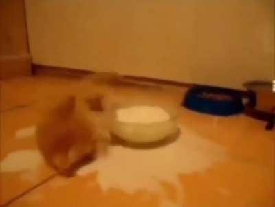 Seems a little hungry