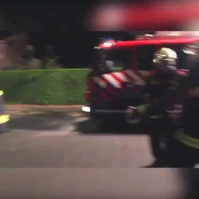 Passing dog tries to help firefighters