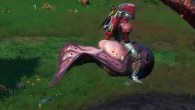 This pet got some cake