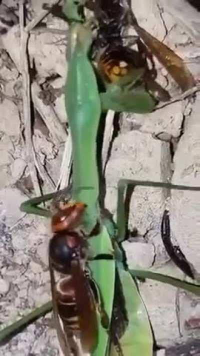 Scene Pale Nairobi. Mwenye unakula, anakula mwenzako 😂😂