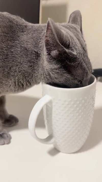 He Only Drinks Out of Cups 😂