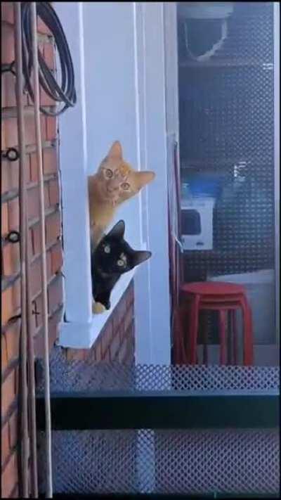 Are My Neighbors Spying on Me?