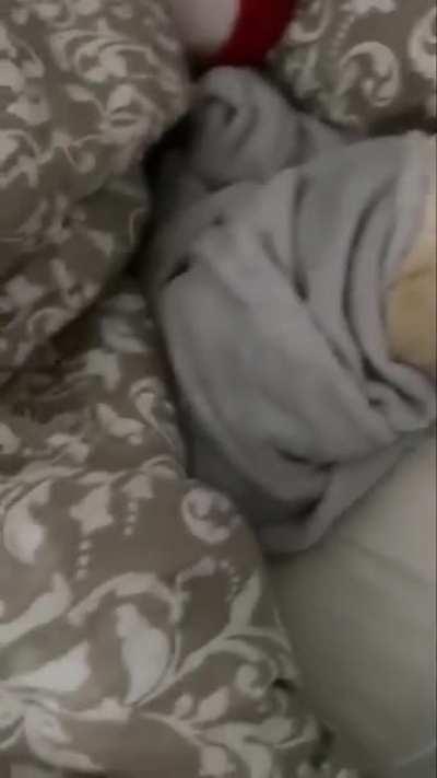 Good morning everyone