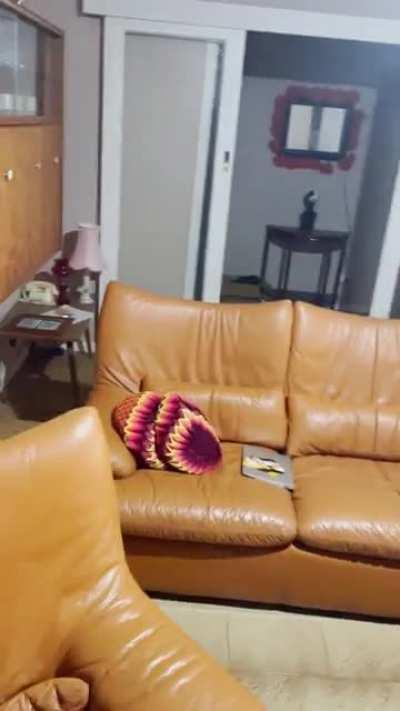 I don’t own a skip