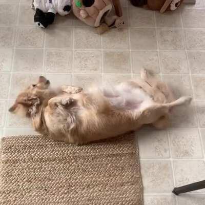 Ermahderg looking for belly rubs—can you assist?