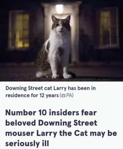 Is this subreddit broken?