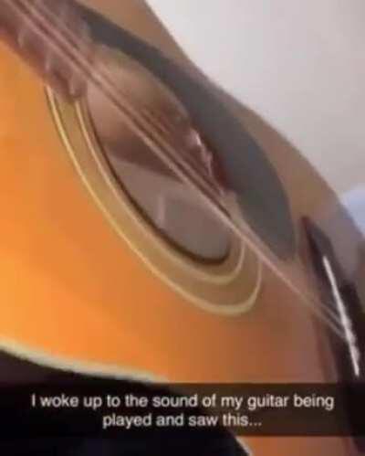 Thanks I Hate Guitar Roach