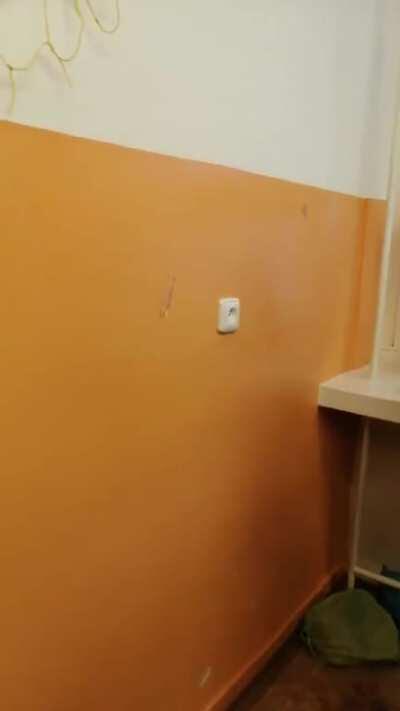 ✌️✌️ Takhle se šetří eletřina v českých školách ✌️✌️ (celý den pak nebyla elektřina ani voda)