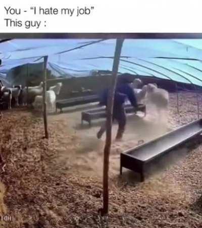 We’d be having mutton after the first time.